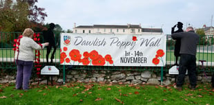 Great Wall of Poppies is back in Dawlish 